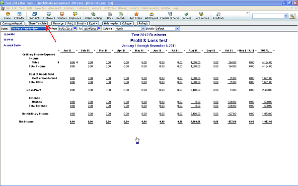 QuickBooks Report Share Template